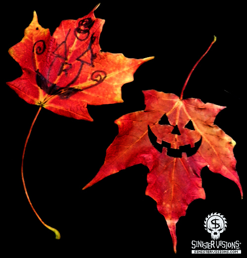 Jack O' Lantern Project - Leaves - October 3, 2010