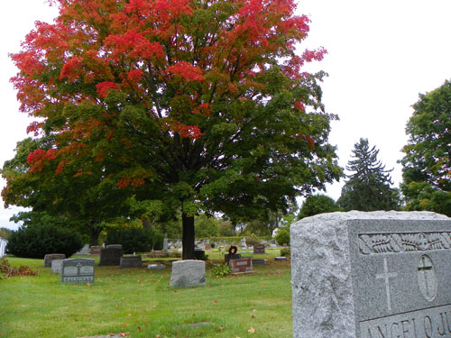 The best leaves come from graveyards