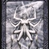 Arachne Art Print
