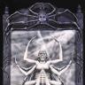 Arachne Art Print